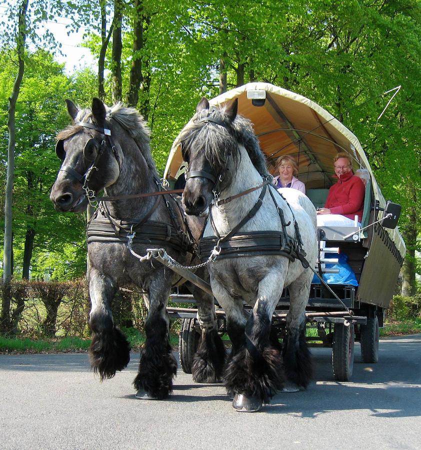 Ferienwohnungen Wiesengrund Monschau Exterior foto